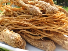  Root ng Chinese Angelica