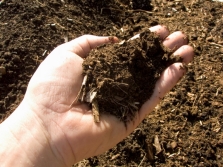  Kompost pro pěstování hub