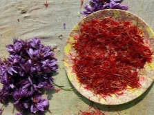  Kashmir Saffron