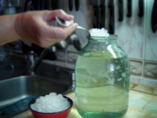  Proses membuat kvass dari beras laut