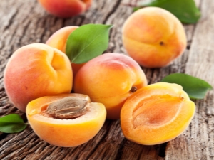  Abricot: bien et mal, recettes intéressantes
