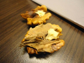  Léčba štítné žlázy ořechovým septem