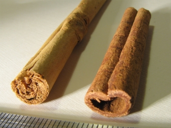  Perbezaan - Ceylon Cinnamon dan Cassia