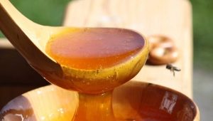 Le miel sur un estomac vide: les avantages, les inconvénients et les subtilités de l'utilisation