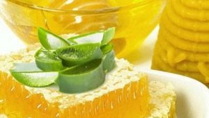  Aloe na may honey: pagluluto, mga katangian ng paglunas at contraindications