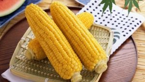  Je li moguće koristiti kukuruz prilikom dojenja i koja su ograničenja?