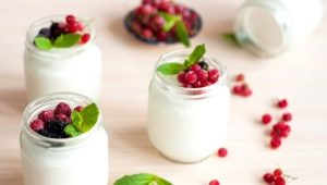  Vad är yoghurt och vilka egenskaper har det?