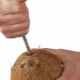  Bagaimana untuk membuka kelapa