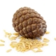  Nut Pine (Itali pain)