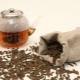  Préparation du thé de saule