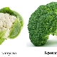  Brokoli dan kembang kol: apakah perbezaannya?