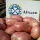  Ciri-ciri dan teknologi varieti yang semakin meningkat kentang Alvar