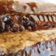  Μέλι μελιού: χαρακτηριστικά και ιδιότητες του προϊόντος