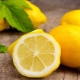  Tips Memasak Sirap Lemon