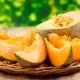  Melon: rasa dan ciri-ciri