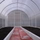  Bagaimana untuk menyediakan rumah hijau untuk menanam tomato pada musim bunga?
