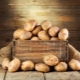  Apakah jenis kentang yang sesuai untuk kawasan yang berlainan di negara ini?