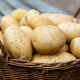  Patatas: komposisyon, benepisyo at pinsala