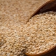  Buckwheat split: kahulugan at properties, cooking recipes