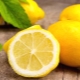  Lemon semasa kehamilan: faedah, bahaya dan peraturan penggunaan
