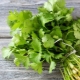  Adakah mungkin membekukan cilantro untuk musim sejuk dan bagaimana untuk melakukannya dengan betul?