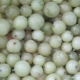  Pembekuan gooseberry: ciri dan resipi