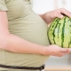  Meloun během těhotenství a kojení - přínos nebo škoda?