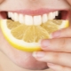  Menyusu lemon: faedah dan bahaya, petua penggunaan