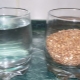  La proportion de céréales et d'eau: quelles proportions faut-il observer lors de la cuisson de différentes céréales?