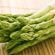  Asparagus: faedah, kemudaratan dan cadangan penggunaan
