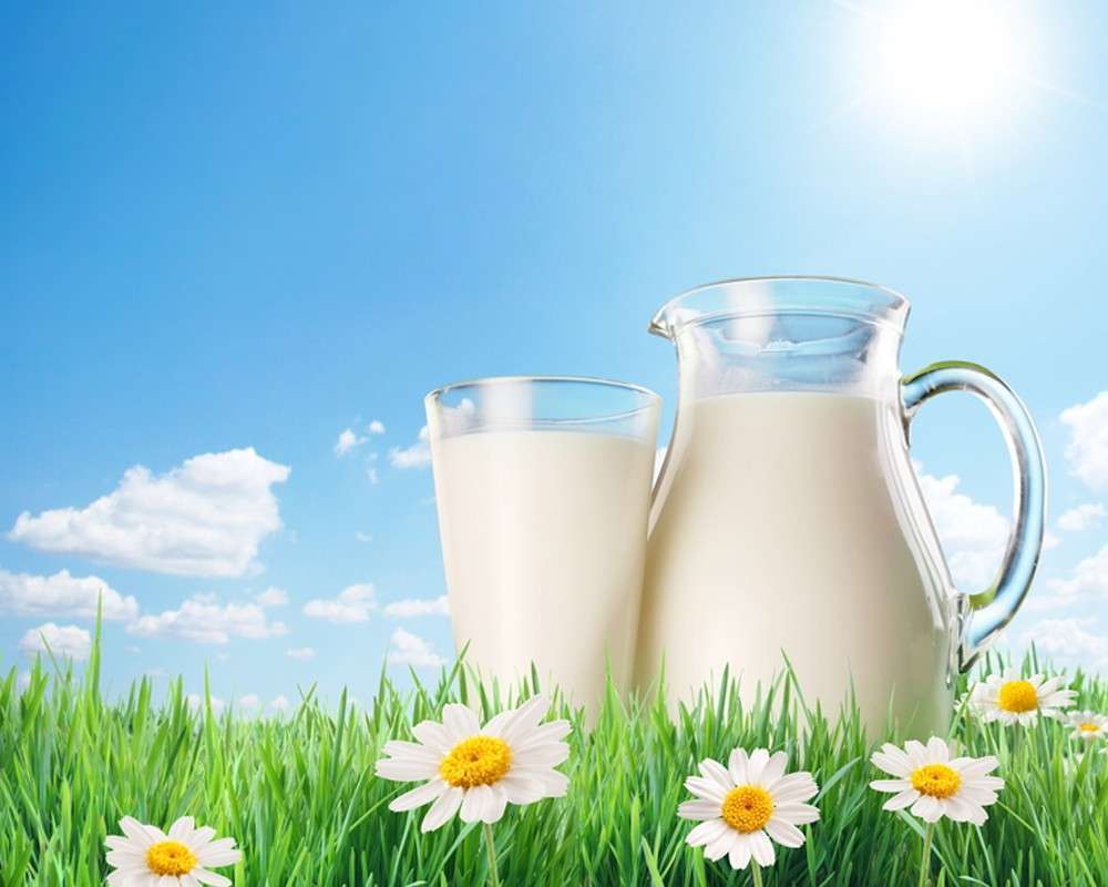 Welche Vitamine sind in der Milch enthalten? Vitaminisierte Kuhmilch