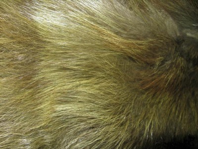  Målning Geum fur