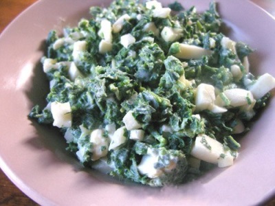  Salat Leaf Salat