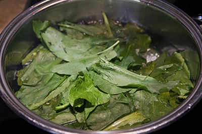  Labuť a zelená polévka