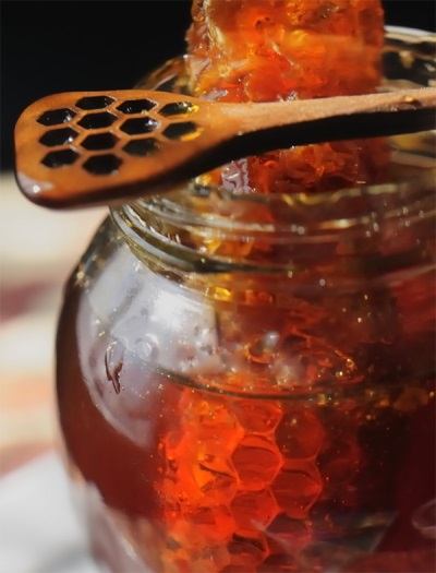  Μέλι από βατόμουρο
