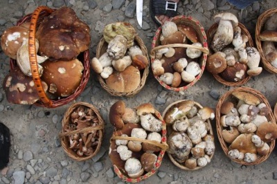  Bílé houby na trhu