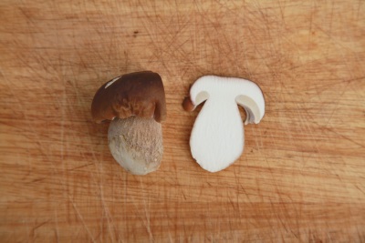  Bijela gljiva u rezu