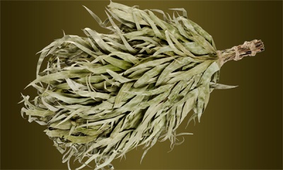  Bath broom fra eucalyptus grener