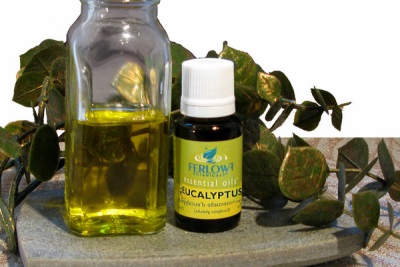  Caractéristiques de l'huile d'eucalyptus