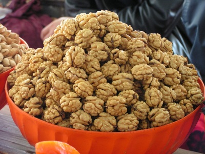  La noix est largement utilisée à diverses fins.