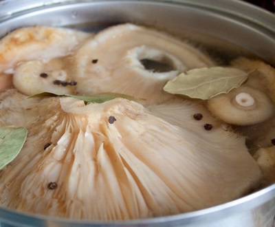  Marinerar svampens svampar