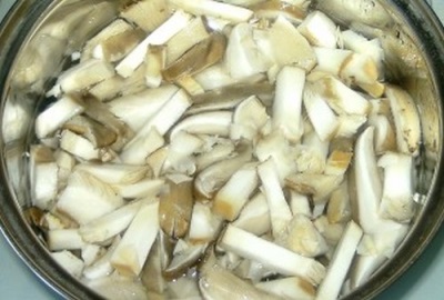  Kuhane gljive kamenice