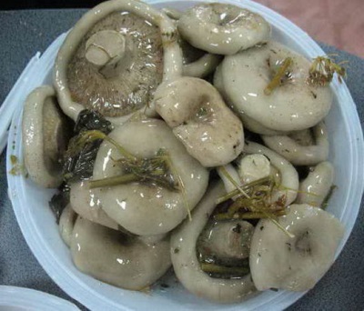  Salted milk mushrooms