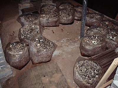  Sacs de substrat pour champignons