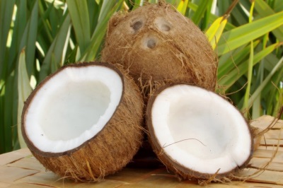  Kokos