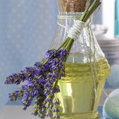  Lavendel - essentiell oljeproduktion