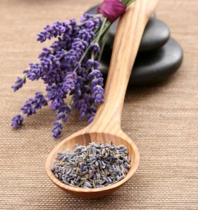  Ang Lavender ay may pinakamalawak na hanay ng mga kapaki-pakinabang na katangian.