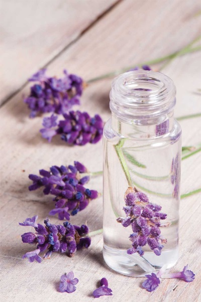  Jenis minyak lavender