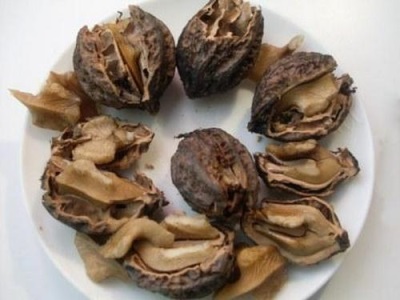  Manchurian walnut juga digunakan untuk tujuan perubatan.