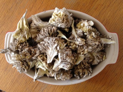  Meytake houby jsou bohaté na různé prospěšné prvky.